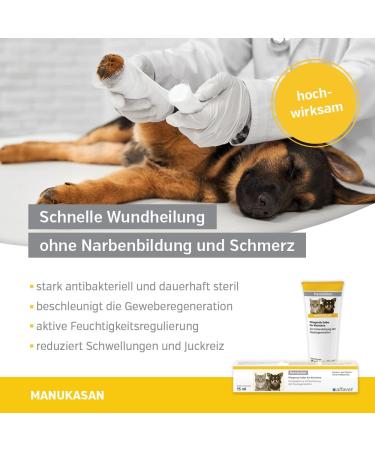 Alfavet ManukaSan Natural Honey Ointment for Dogs Cats and Small Animals 75 ml - Buy Online on GoSupps.com