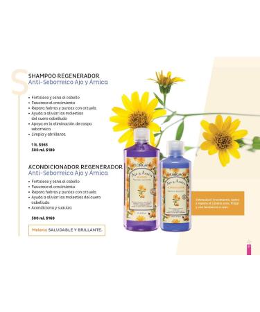 Buy Anti Dandruff & Regenerative Shampoo Ajo y rnica 1L - Florigan Purple | Fast International Shipping - Buy Online on GoSupps.com