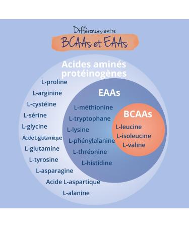 EAA 9 Acides Amin s Poudre | Avec BCAA | Go t P che | Biodisponibilit lev e | Pre Workout Puissant | Test en Laboratoire & Sans Additifs | Sachet 400g - Buy Online on GoSupps.com