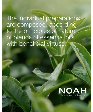 NOAH 1.14 bifasic Hair treatment vials for sensitive scalp 40 ml - Buy Online on GoSupps.com