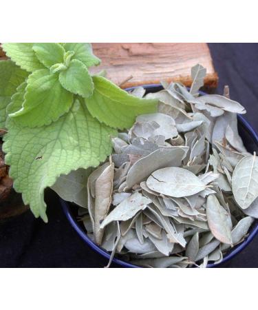 Krauterino24 Krauterino24 - Whole boldo leaves quantity: 50 g