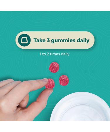 Bundle of Fiber Gummies - Chicory Root Supplement with Prebiotic Support for Gut & Digestive Health and Magnesium Gummies - Relaxing Magnesium Citrate - Raspberry Flavored for Body & Mind Relaxation - Buy Online on GoSupps.com