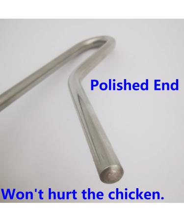 GLOBOTECH Extendable Chicken Catcher Leg Hook - Stainless Poultry Hook Fowl Catcher 25" Extend to 59" Perfect Tool for Safe and Easy Handling of Fowl Duck Catcher Instead of Bird Catching Net - Buy Online on GoSupps.com