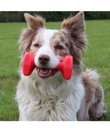 Company of Animals Training Dumbbell - Durable Toy for Medium Dogs & Puppies | Ideal for Swimming & Long Training Sessions - Buy Online on GoSupps.com