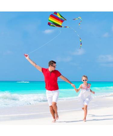 VIKY Dragons Kite for Kids - Colorful Pocket Kite 30m Dragon Cord Beginner Friendly Outdoor Flight Toy - 82cm x 52cm Rainbow Kites for Children and Adults - Buy Online on GoSupps.com