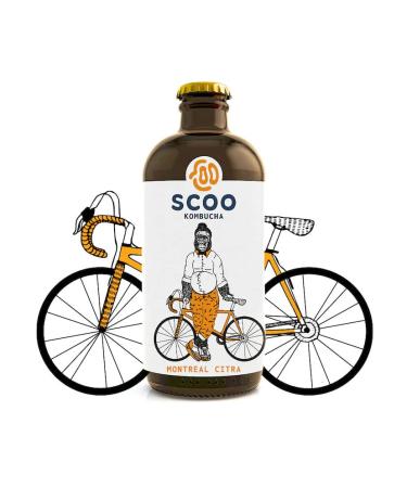 Buy Scoo Kombucha Montreal Citra - 12 Bottles 330ml | Organic Unpasteurized Kombucha Tea - International Shipping Available - Buy Online on GoSupps.com