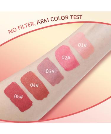 HAPINARY 5pcs Blush Face Makeup Supplies Makeup Eyeshadow Eye Shadow Facial Beauty Cosmetic - Buy Online on GoSupps.com