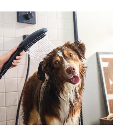 Hansgrohe Dog Shower Water-Saving Pet Grooming Shower with 3 Jet Types | Matte Black Dog Bathing Solution - Buy Online on GoSupps.com