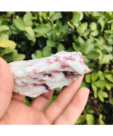 Natural Crystal Rough Natural Crystal Rough Rough Stone Red Tourmaline Crystal Quartz 200g-500g for Decoration 1pc (Color : 1PC 410g-500g) (Color : 1pc 310g-400g) - Buy Online on GoSupps.com