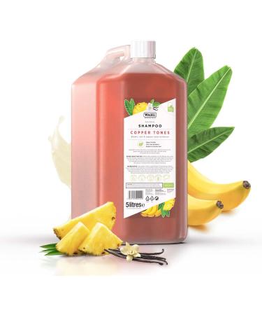 Buy WAHL Copper Tones Pet Shampoo - International Shipping Available | Premium Pet Care - Buy Online on GoSupps.com