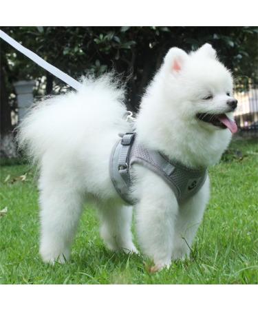Buy Reflective Soft Padded Dog Harness & Cat Dishes for Small Dogs | Air-Mesh Leash & Pet Accessories - Perfect for Puppies & Cats (Chest: 29-33cm) - Buy Online on GoSupps.com