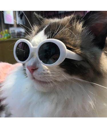 Small Cat Kitten Glasses Pet Glasses Dog Sunglasses Pet Supplies Kittens Pet Sunglasses Cosplay Costume Photos Props Style3 - Buy Online on GoSupps.com