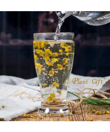 Buy Wild Chrysanthemum Tea - Authentic Chinese Tea 60g | Health Benefits | International Shipping - Buy Online on GoSupps.com