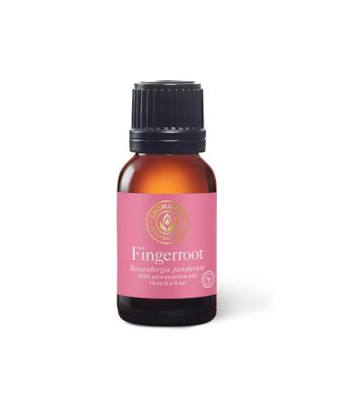 Aromatics International Premium Organic Fingerroot Essential Oil 18ml | 100% Pure Essential Oil for Diffusion & Aromatherapy Fingerroot 0.6 Fl Oz (Pack of 1)