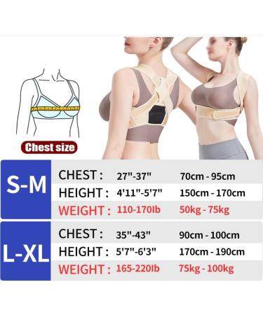 Buy DFHBFG Posture Corrector Adjustable Back Support Belt - Invisible Hunchback Brace for Adults | Size S/M | International Shipping - Buy Online on GoSupps.com