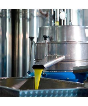 OROZUMO | Extra Virgin Olive Oil | Picual Variety + Arbequina | 5 Liter Bottle | Sierra M gina Ja n Andalusia - Buy Online on GoSupps.com