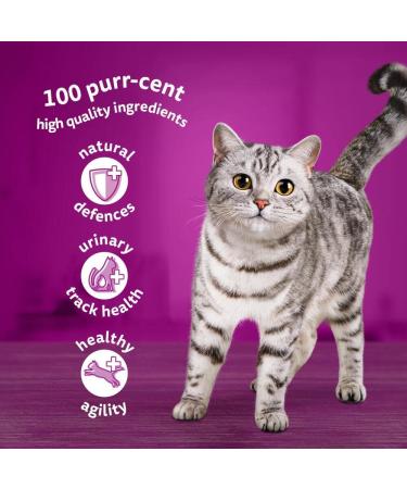 whiskas Wet Cat Food Pouches - Pack of 12 - 3 Oz. - Mixed Selection - Buy Online on GoSupps.com