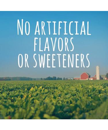 Gerber Fruit & Veggie Melts Very Berry Blend 1oz (Pack of 7) - Baby Snacks - Buy Online on GoSupps.com