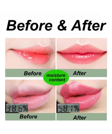 Amazfly 2 Pcs Aloe Vera Clear Jelly Lipsticks - Color Change Magic, Long Lasting Moisturizing Lip Makeup - Buy Online on GoSupps.com