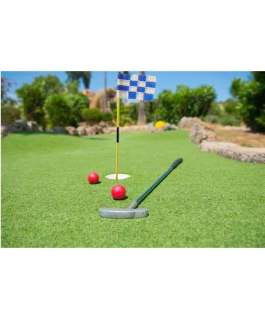 Crestgolf 2-Section Portable Backyard Golf Hole Cup & Flag Stick Set (White-Blue Checkered, 2-Pack) - Buy Online on GoSupps.com