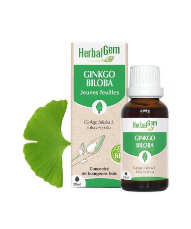 Pranar m Herbalgemm - Macerate Mother - Organic Ginkgo Biloba - Concentrated Gemmotherapy Food Supplement - Fresh Bud Extract - For Blood Circulation Memory and Concentration - 30 ml