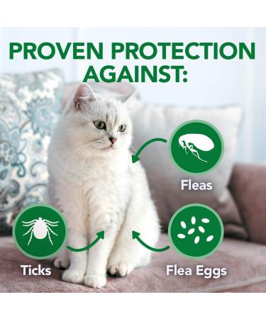 Vet's Best Flea Treatment - 8 Ounces - Buy Online on GoSupps.com