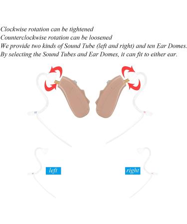 Banglijian Ziv-201A Rechargeable Digital Hearing Aid - Small Size Pair with Noise Cancelling Technology - Buy Online on GoSupps.com