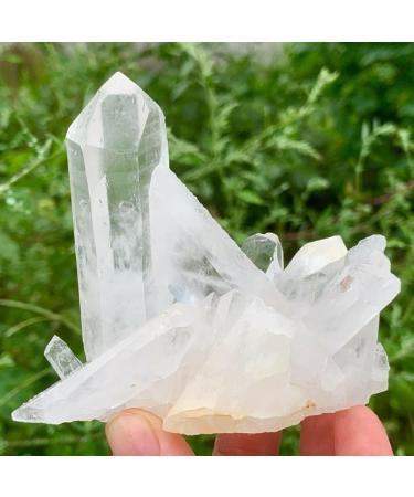 Natural Crystal Rough Home Natural White Quartz Crystal Cluster (Size : 260-300g) - Buy Online on GoSupps.com