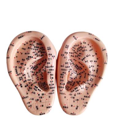 Ernzi ear-acupuncture model-1 pair ear apoint model 17cm printing point and meridians massage acupuncture ear model with HD lettering for study