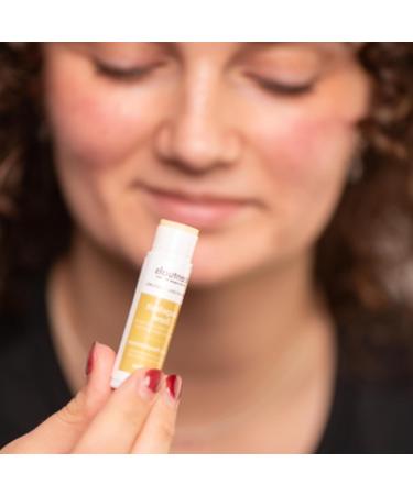 Lip Balm Set of 4 Made with Shea Butter Cocoa Butter Avocado & Jojoba oil Beeswax Moisturizing Lip Care & Hydration Cruelty Free Natural Lip Conditioner 4 psc Set of 4 Mix - Buy Online on GoSupps.com