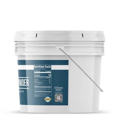 Earthborn Elements Agave Powder 1 Gallon - Natural Sugar Alternative for Drinks & Recipes - Buy Online on GoSupps.com