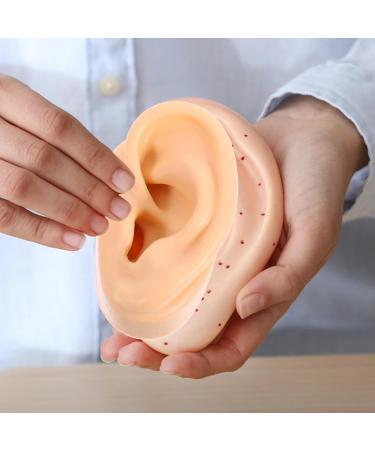 Safigle Silicone Human Ear Model for Piercing Practice | Realistic Fake Ear for Acupuncture & Jewelry Display | Teaching Materials & Instructions - Buy Online on GoSupps.com