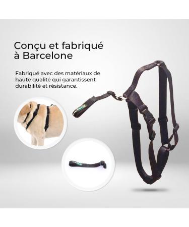 Ortocanis - Dog Back Belt Lumbar Fixation for Knee Brace Belt Only Size L - Buy Online on GoSupps.com