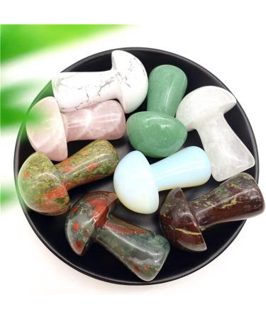 1-Pack Natural Large Green Pink Crystal Mushroom Polished Stones Beautiful Crystal Natural Luster (Color : Africa Blood Stone) - Buy Online on GoSupps.com