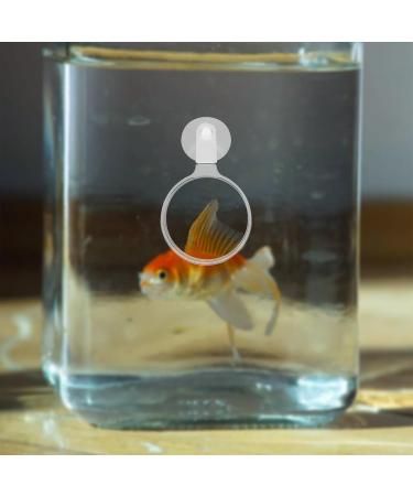 POPETPOP Aquarium Magnifier Acrylic Fish Tank Viewer Fish Tank Magnifying Glass Small Animal Magnifier with Suction 3.5cm - Buy Online on GoSupps.com