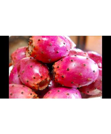 Herbal Magic Prickly Pear Fruit Powder - Nopal Cactus 200g - Pure & Natural Blend for Vibrant Smoothies, Skin & Hair Care - Family of Beetroots & Dragon Fruit - Free from Fillers & Preservatives - Buy Online on GoSupps.com