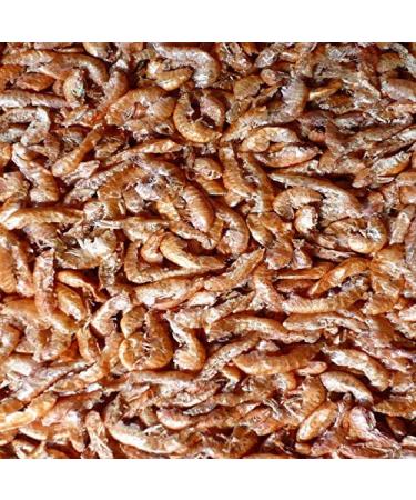 Pondovit Gammarus - Premium Freshwater Shrimp Koi Treats (1.2L) | High-Quality Snacks for Healthy Fish - Buy Online on GoSupps.com