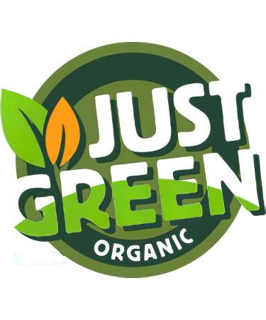 Just Green Organic Liquid Hand Wash Hand Soap - Enriched with Aloe Vera Gel Extract Chemical-Free Hand Wash for a Refreshing Cleanse - Buy Online on GoSupps.com