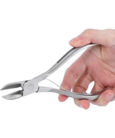 Pwshymi Stainless Steel Dental Forceps for Piglets - Comfortable Easy to Clean Dental Scissors for Newborn Teeth Trimming - Buy Online on GoSupps.com