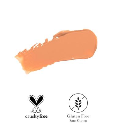 100% PURE BB Cream Shade 10 Luminous Full Face Coverage Skin Care & Glow - All-In-One Primer Concealer & Foundation Makeup - Shimmery Dewy Youth Light Color w/Warm Undertone - Vegan - 1 Fl Oz - Buy Online on GoSupps.com