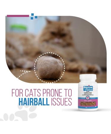 Revive Active - Feline Hairball Soft Chews 48ct - Cat Hairball Remedy Designed Specifically for Cats That are Prone to Hairball Problems - Treats That Help Maintain a Healthy Coat. - Buy Online on GoSupps.com