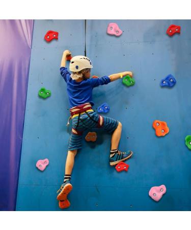 Jiuzcare 20-Pack Children s Climbing Handles & Stones - Indoor/Outdoor Multicolored Climbing Wall Accessories for Kids - Buy Online on GoSupps.com