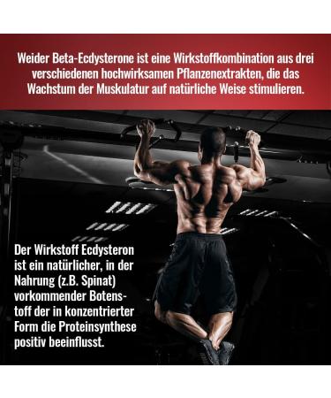 Weider Beta-Ecdysteron Capsules - Premium Muscle Building Supplement with Diosgenin & Gamma Oryzanol - High Dose 150 Capsules (1 Pack) - Buy Online on GoSupps.com