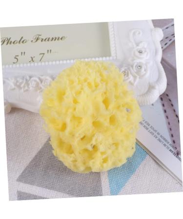 Buy Housoutil 3 Pcs Exfoliating Face Sponges - Honeycomb & Seaweed Bath Sponges for Men | International Shipping Available - Buy Online on GoSupps.com