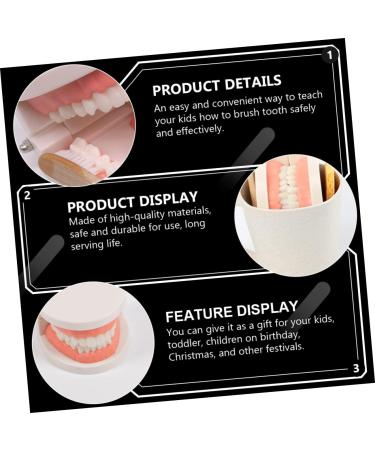 Ipetboom Children's Dental Education Toy | Early Learning Model for Dental Health | Reusable Tooth Model for Kids - Buy Online on GoSupps.com