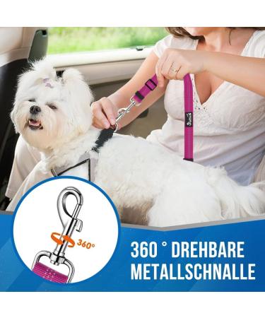 Slowton Double Dog Safety Belt - Dual-Pet Car Head Support for Medium Dogs | Elastic Connector for Safe Travel - Buy Online on GoSupps.com
