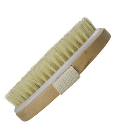 Boolavard Dry Skin Body Brush - Natural Bristle for Exfoliation, Cellulite Treatment, and Lymphatic Function Improvement - Buy Online on GoSupps.com