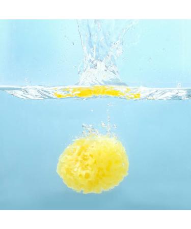Premium Greek Honeycomb Natural Sea Sponge for Body Shower - Yellow 3.5 Inch Plus - Buy Online on GoSupps.com