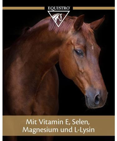 Equistro - Equistro Excell E 1L - Buy Online on GoSupps.com