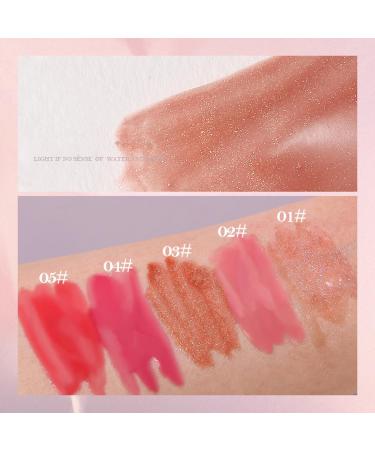 Buy Lip Plumping Gloss | High-Shine Liquid Lip Color for Fuller Lips | Hydrating & Smoothing Formula - 0.19 Fl Oz (DOGWOOD) 04# LIQUEUR - International Shipping Available - Buy Online on GoSupps.com